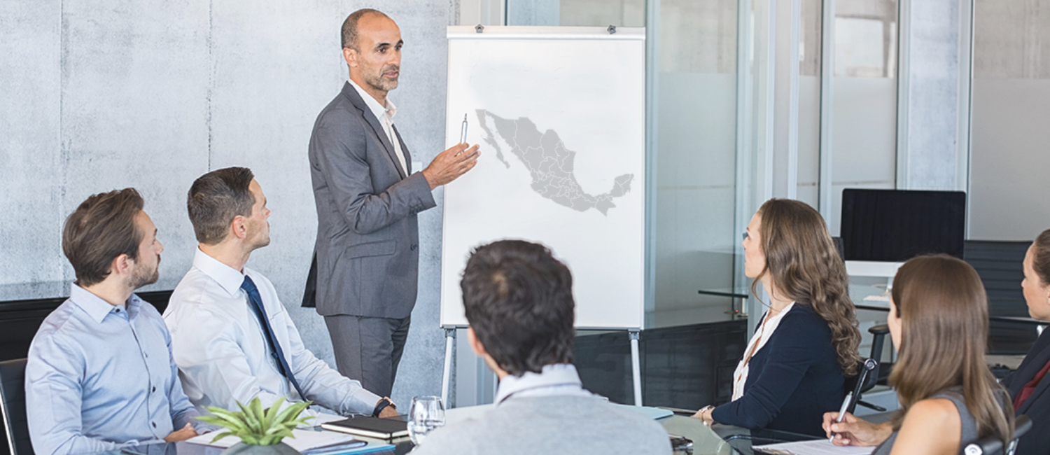 Estructura organizacional