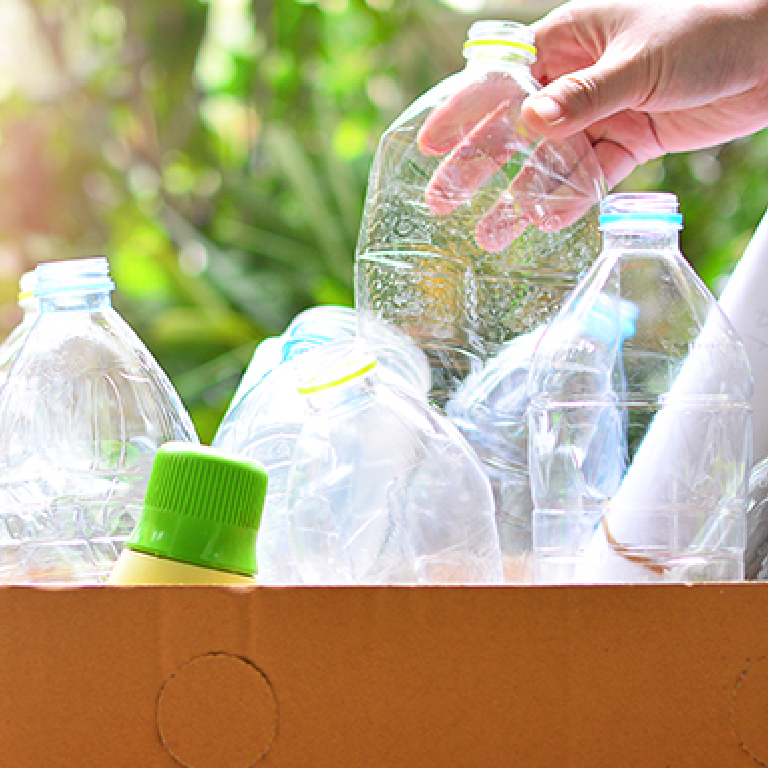 Promovemos una cultura del reciclaje.