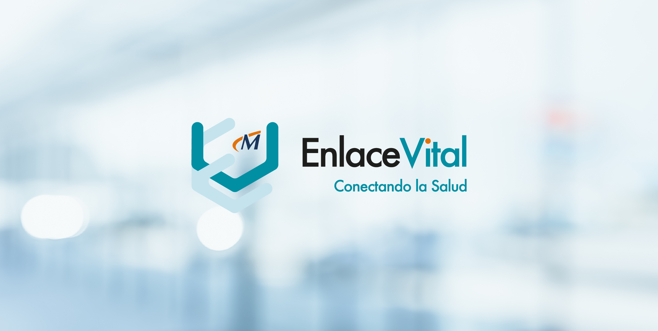 ¿Qué es Enlace Vital?